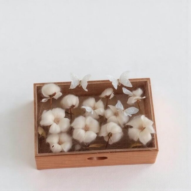 Myszy w domu jakie przynęty wybrać